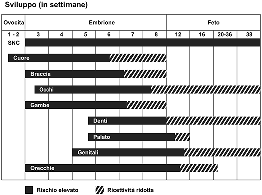 entwicklung in wochen i